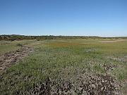 St. Augustine - Jan 2012 069